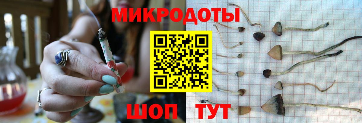 Псилоцибиновые грибы Psilocybe  даркнет сайт  Лосино-Петровский  Вход с VPN 