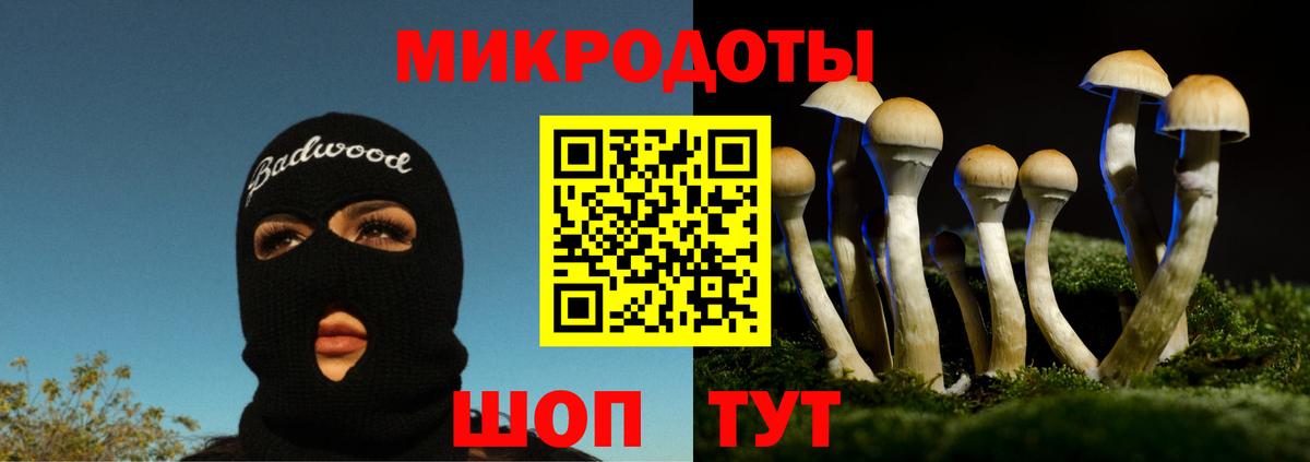 Галлюциногенные грибы прущие грибы Лосино-Петровский